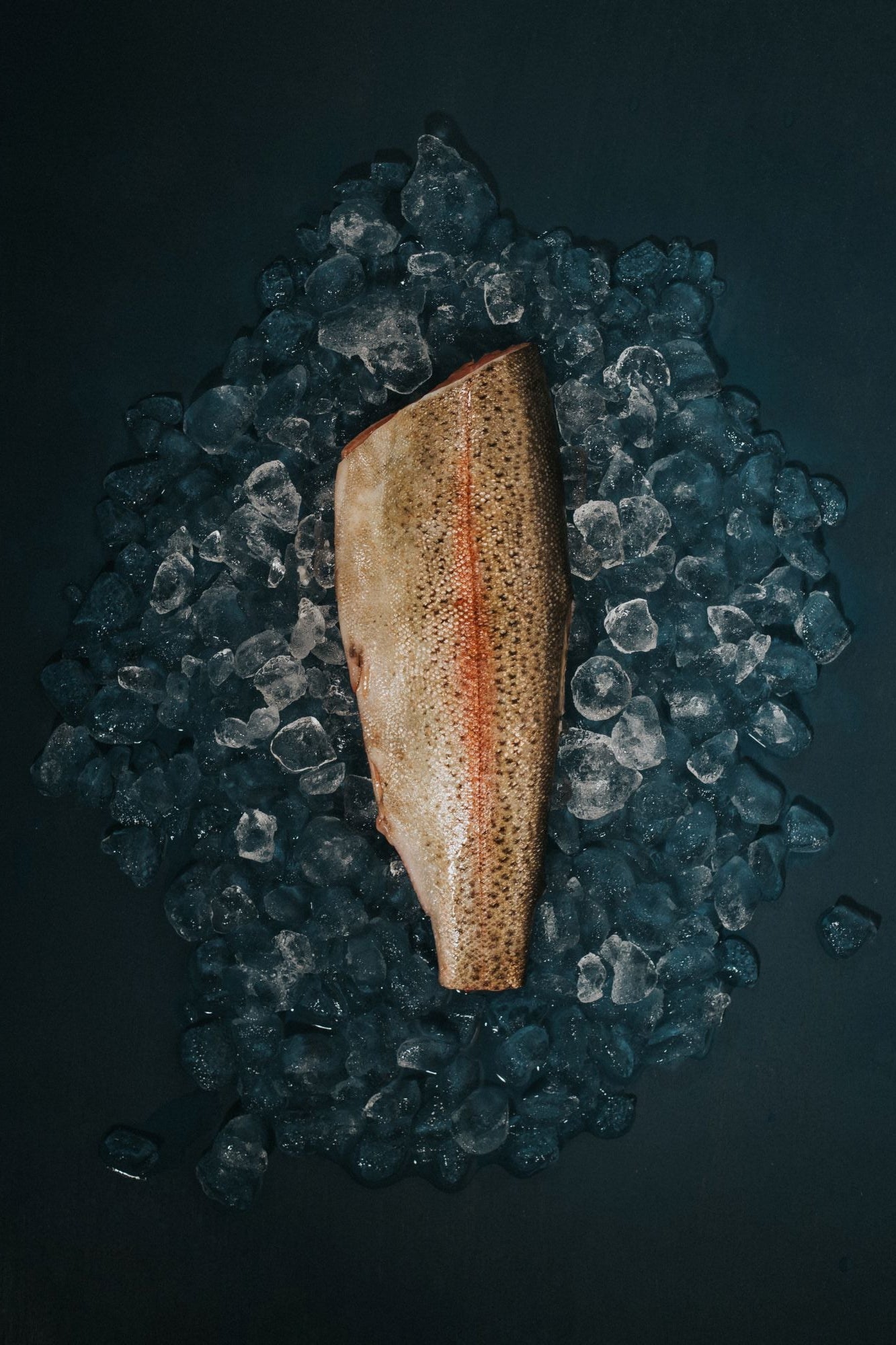 Whole Trout (Headed & Trimmed)