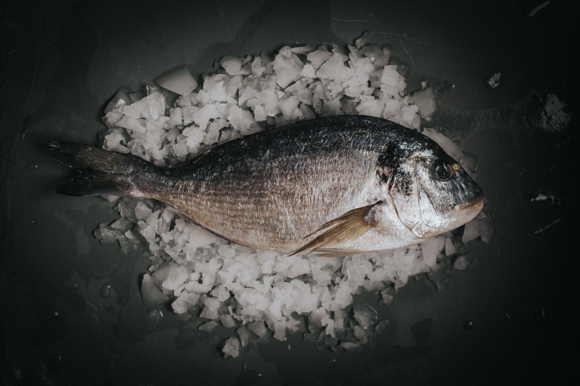 Gilt Head Bream, Headed & Trimmed