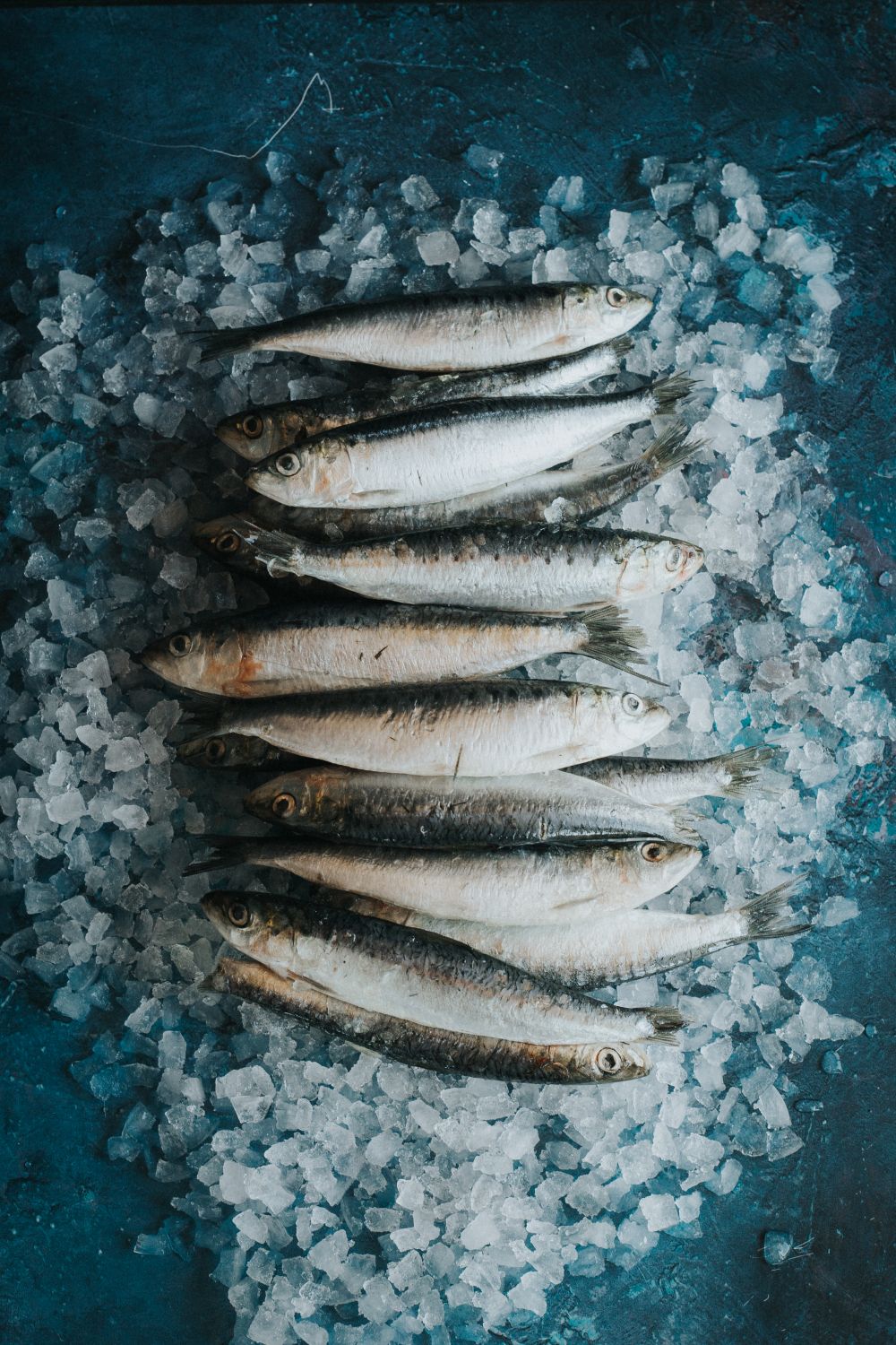 Whole Sardines (Frozen)