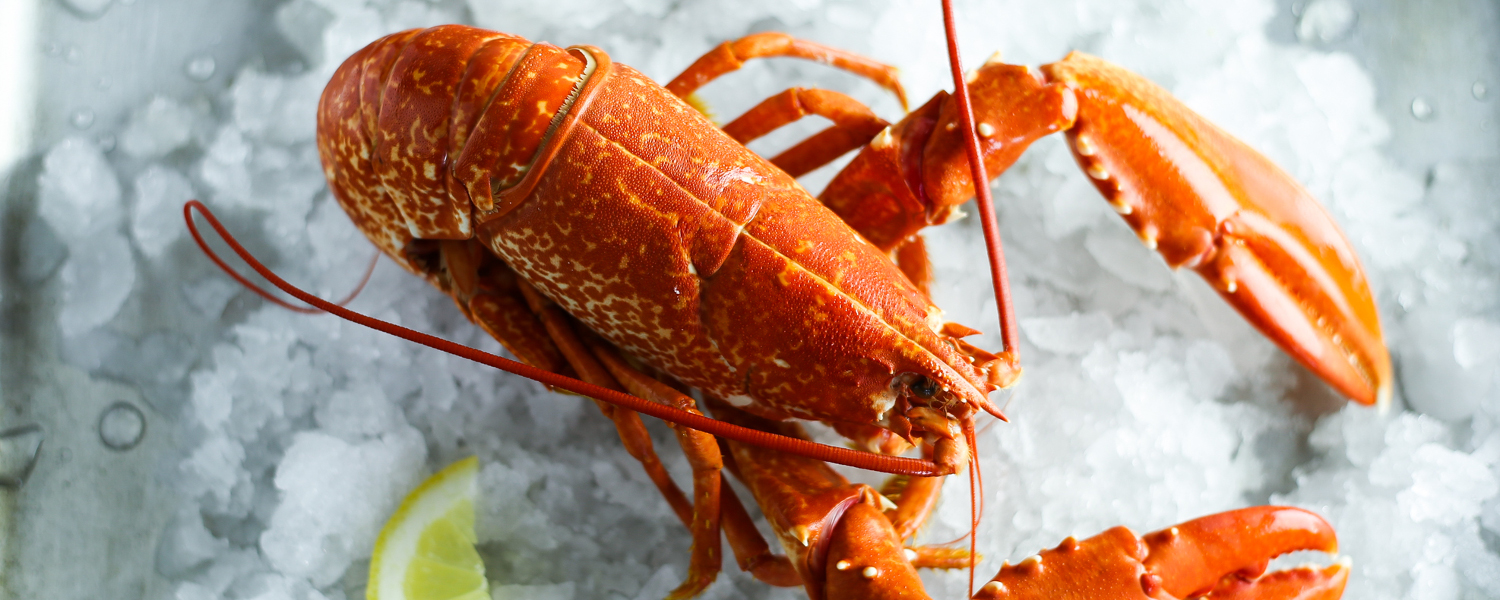 Watch how to crack a lobster