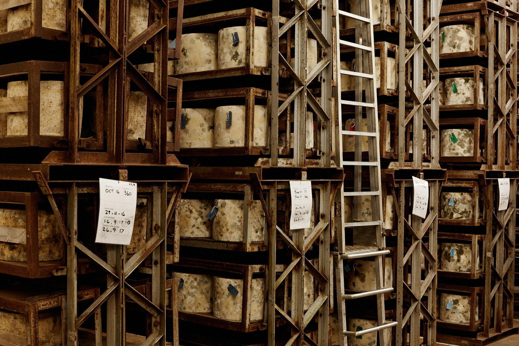 A Guide to Devon Cheese Producers