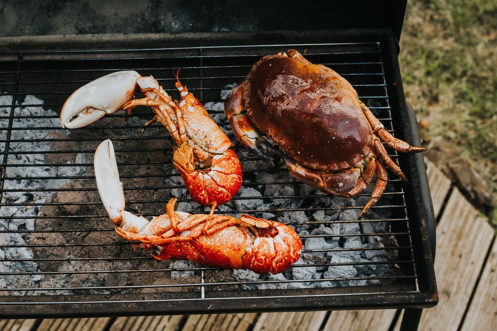 Barbecue Shellfish - A Cracking Good Grill
