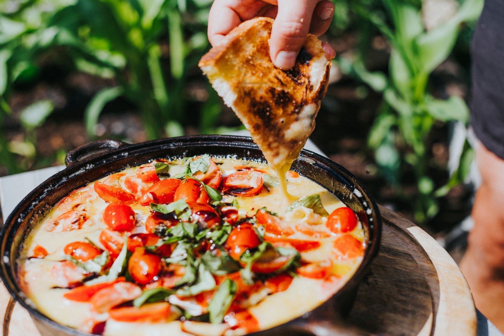 BBQ Brie with Tomatoes and Basil Recipe