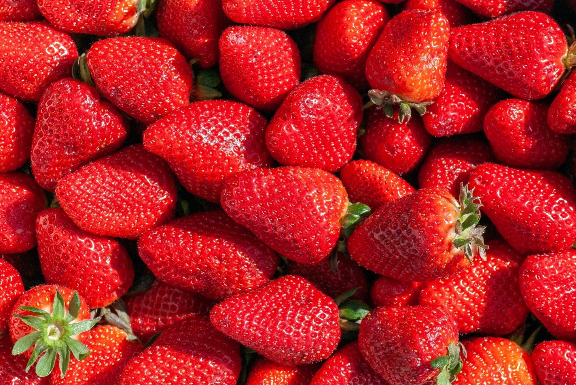 5 ways to enjoy Strawberries - Greendale