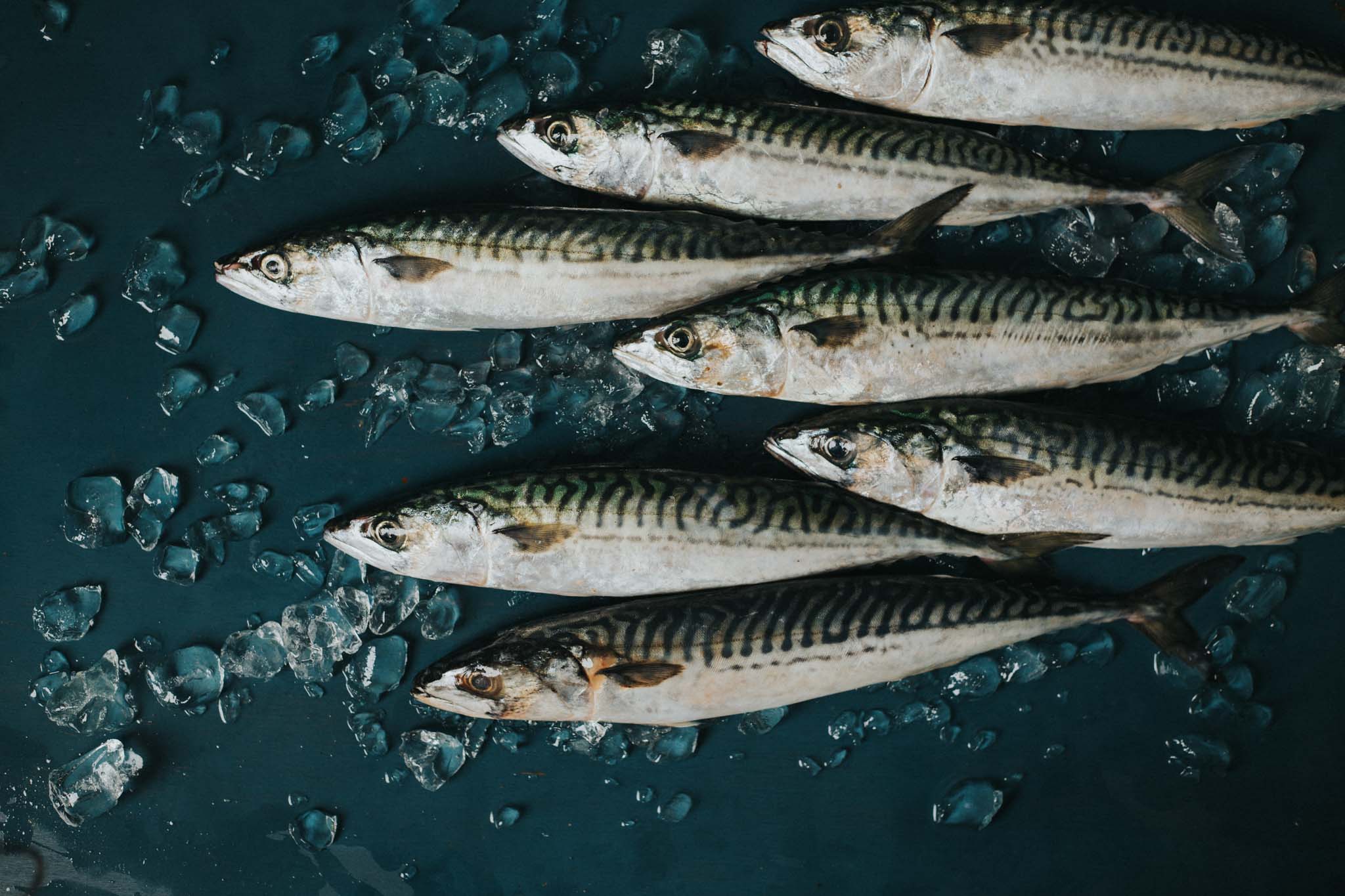 Oily Fish