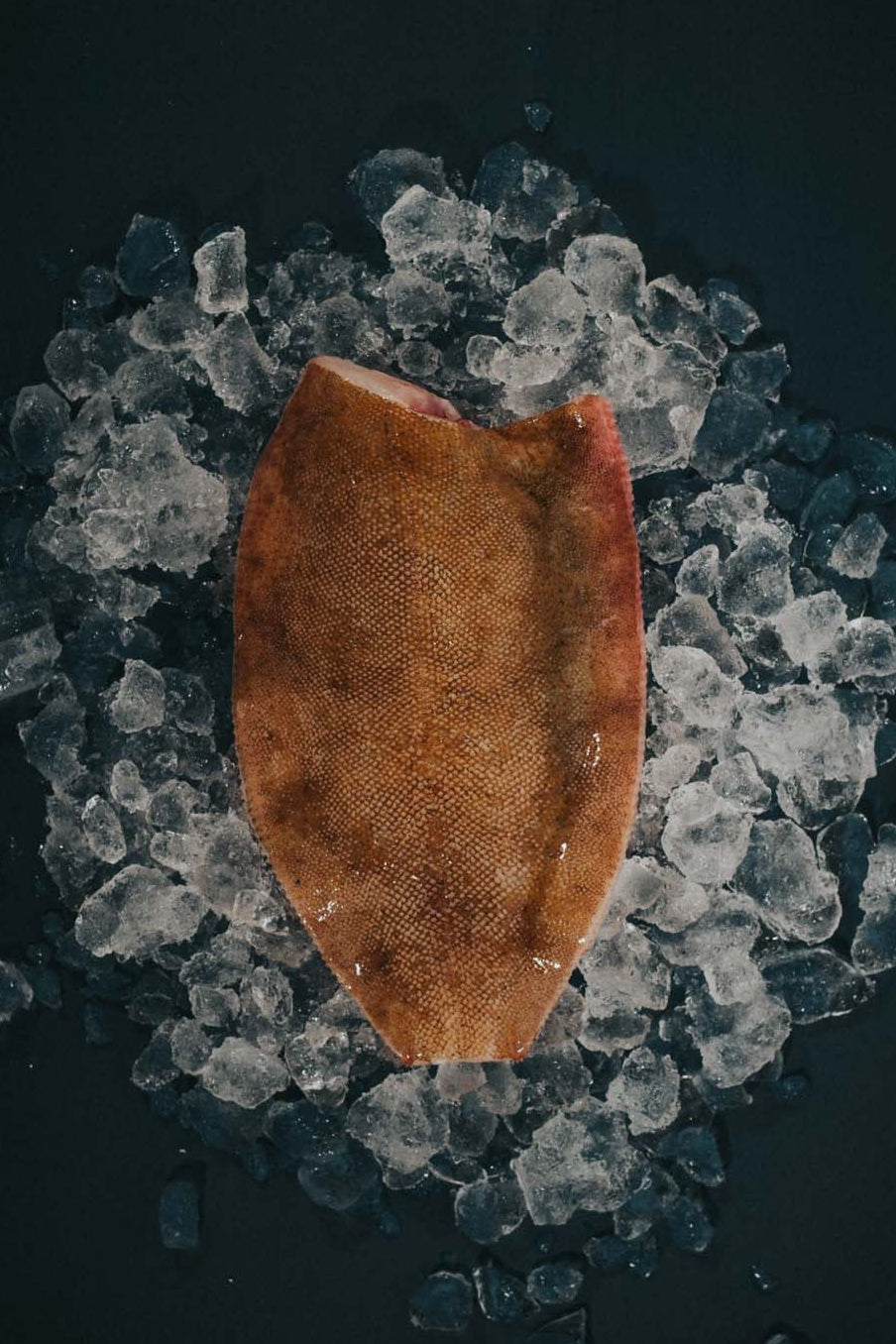 Greendale Lemon Sole Gutted Headed And Trimmed