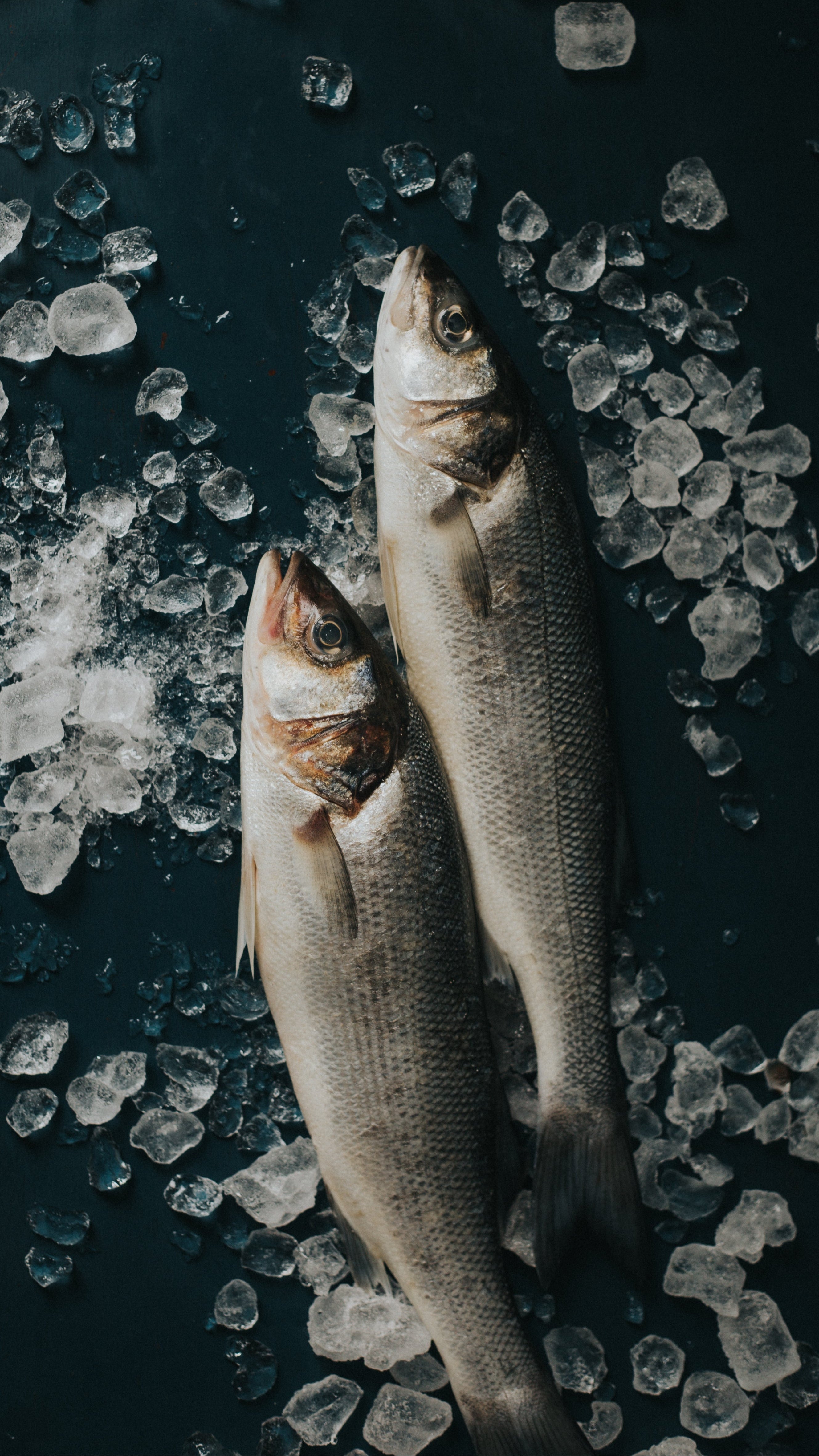Greendale Whole Wild Sea Bass