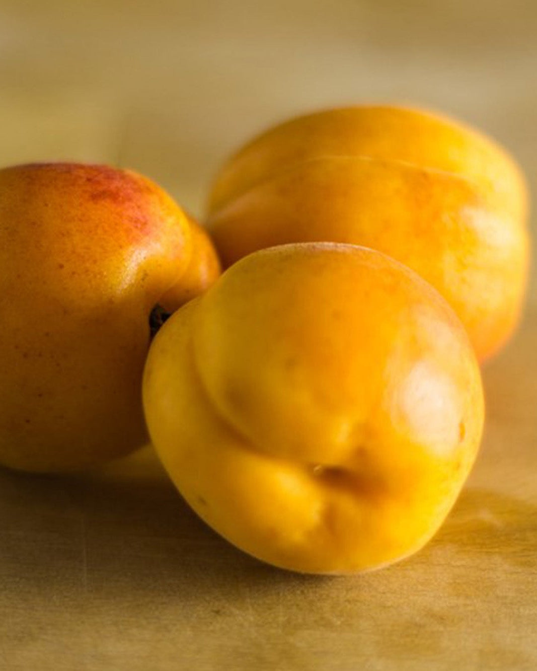 Greendale apricots