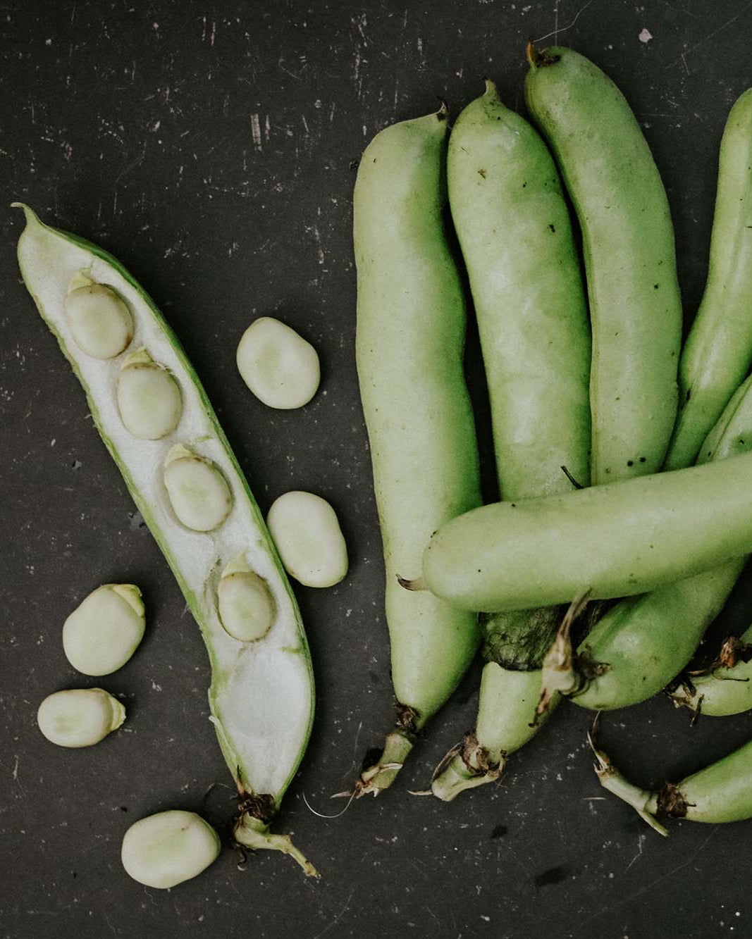 Greendale broad beans