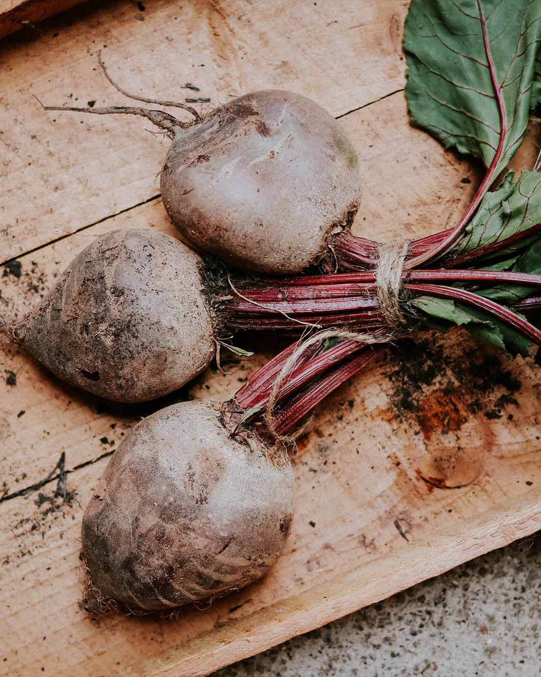 Greendale bunched beetroot