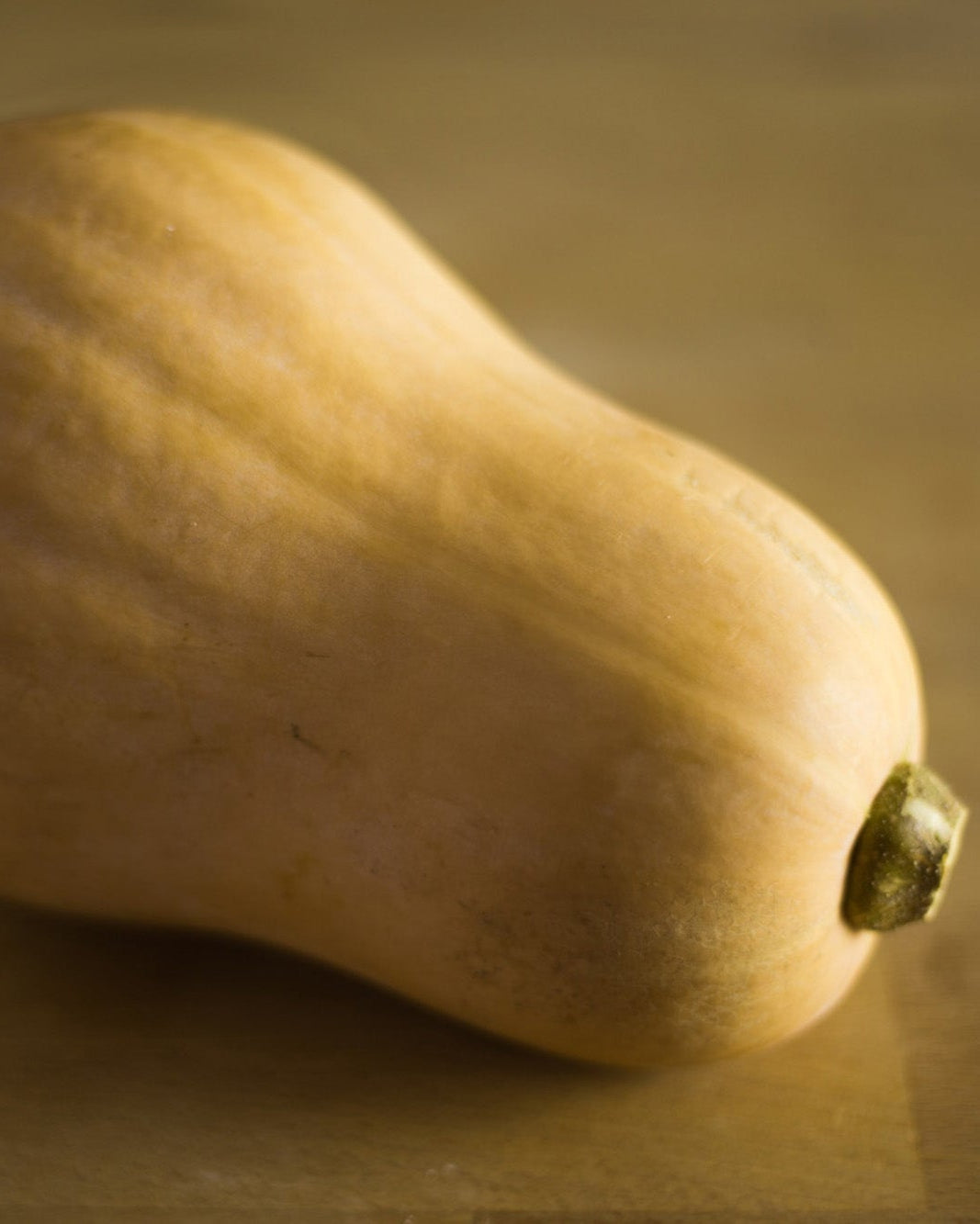 A Greendale butternut squash
