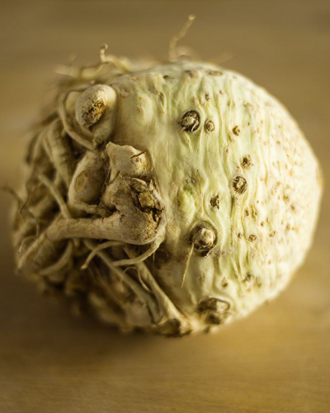 A Greendale celeriac