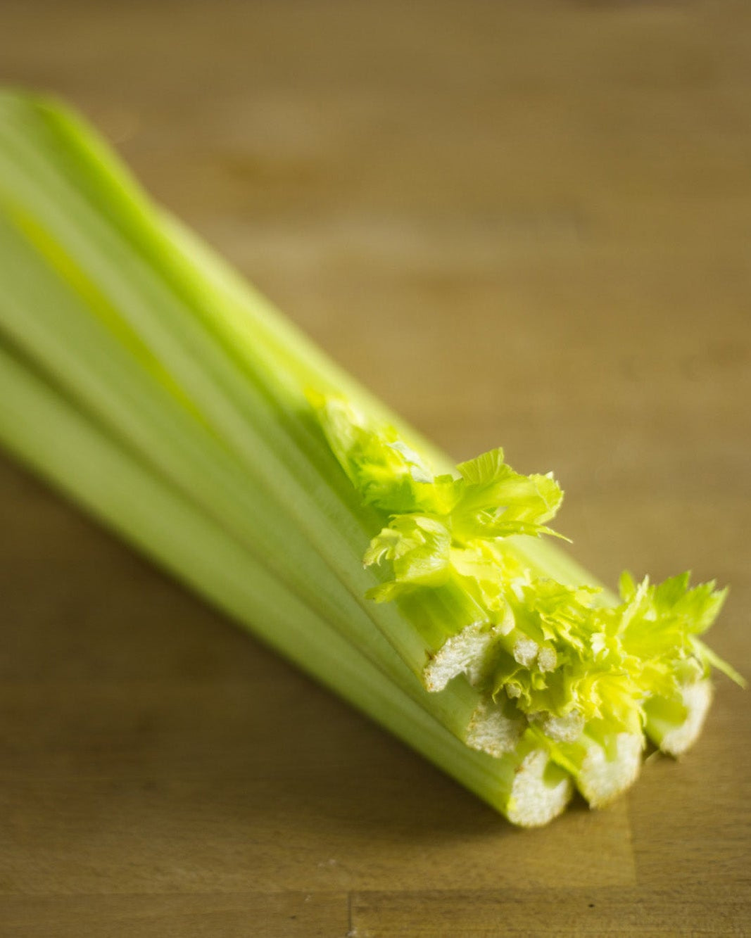 A Greendale celery