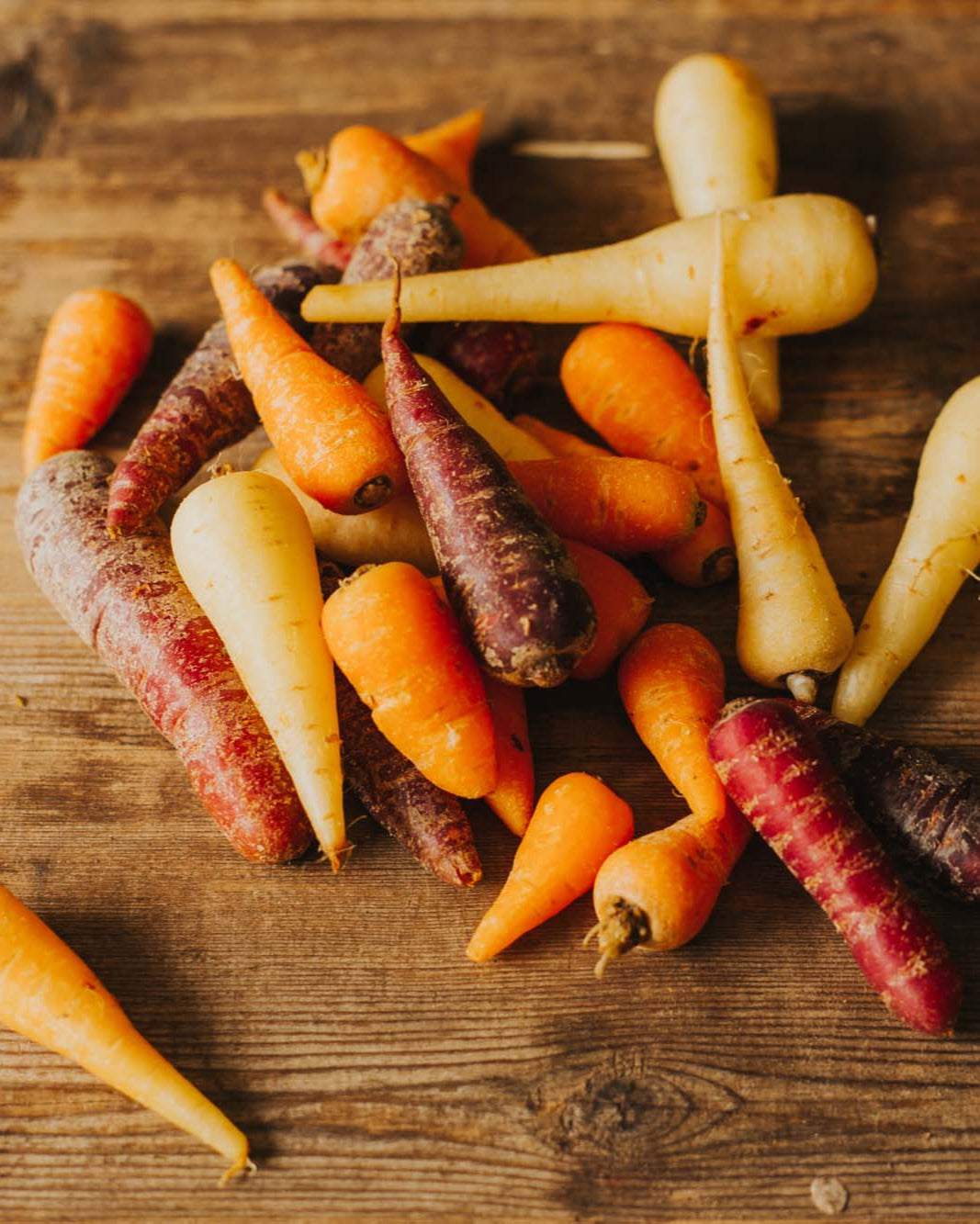 Greendale Chantenay carrots