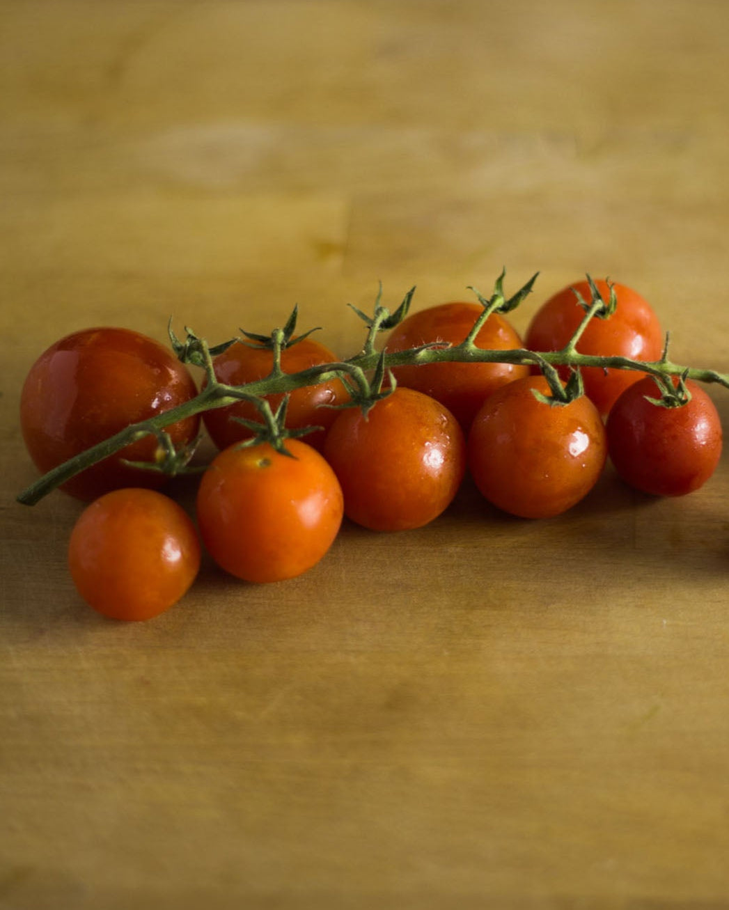 Red pearl Greendale tomatoes on the vine