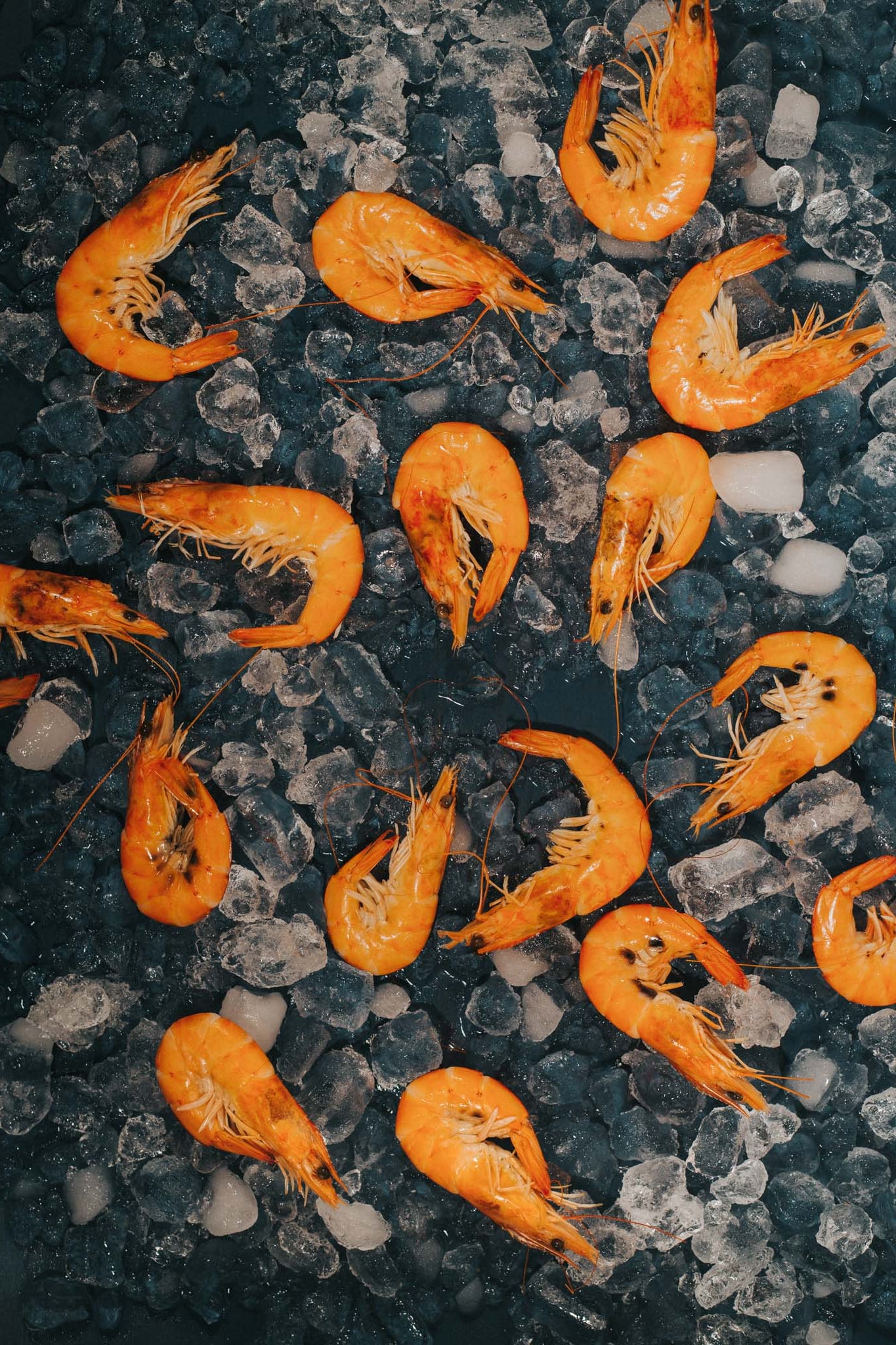 Greendale Smoked Cooked Crevettes