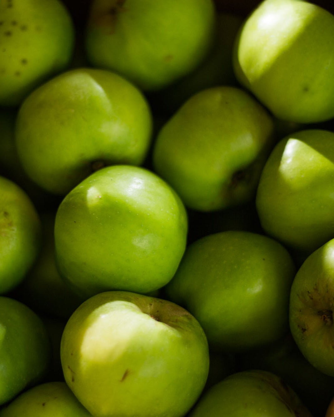 Greendale cooking apples