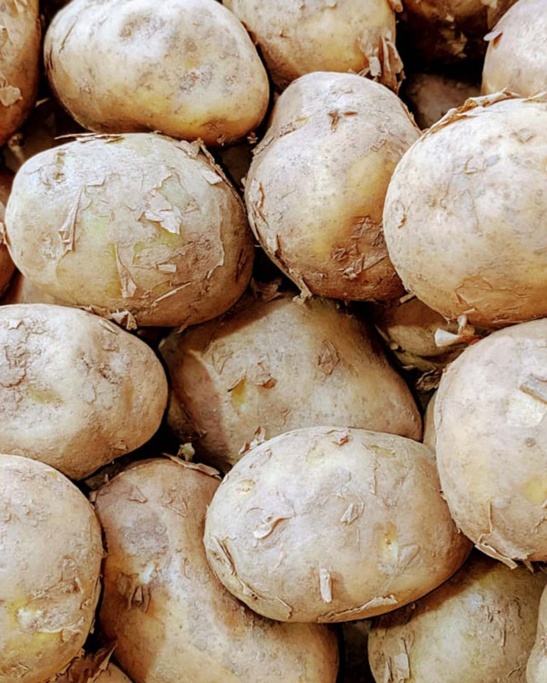 1kg of Greendale Daisy potatoes