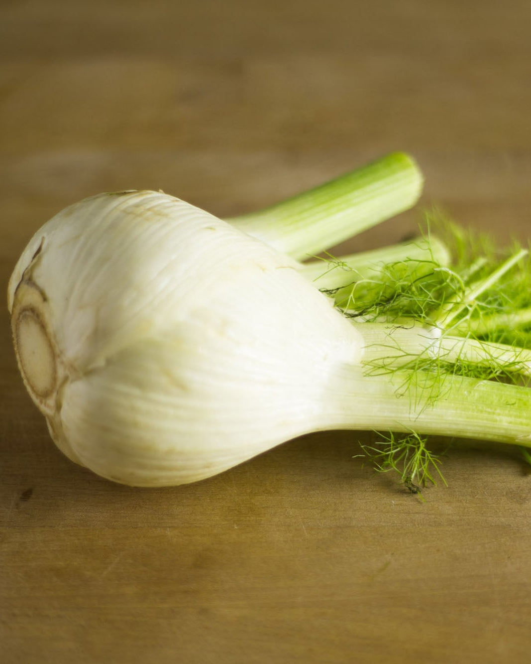 A Greendale fennel