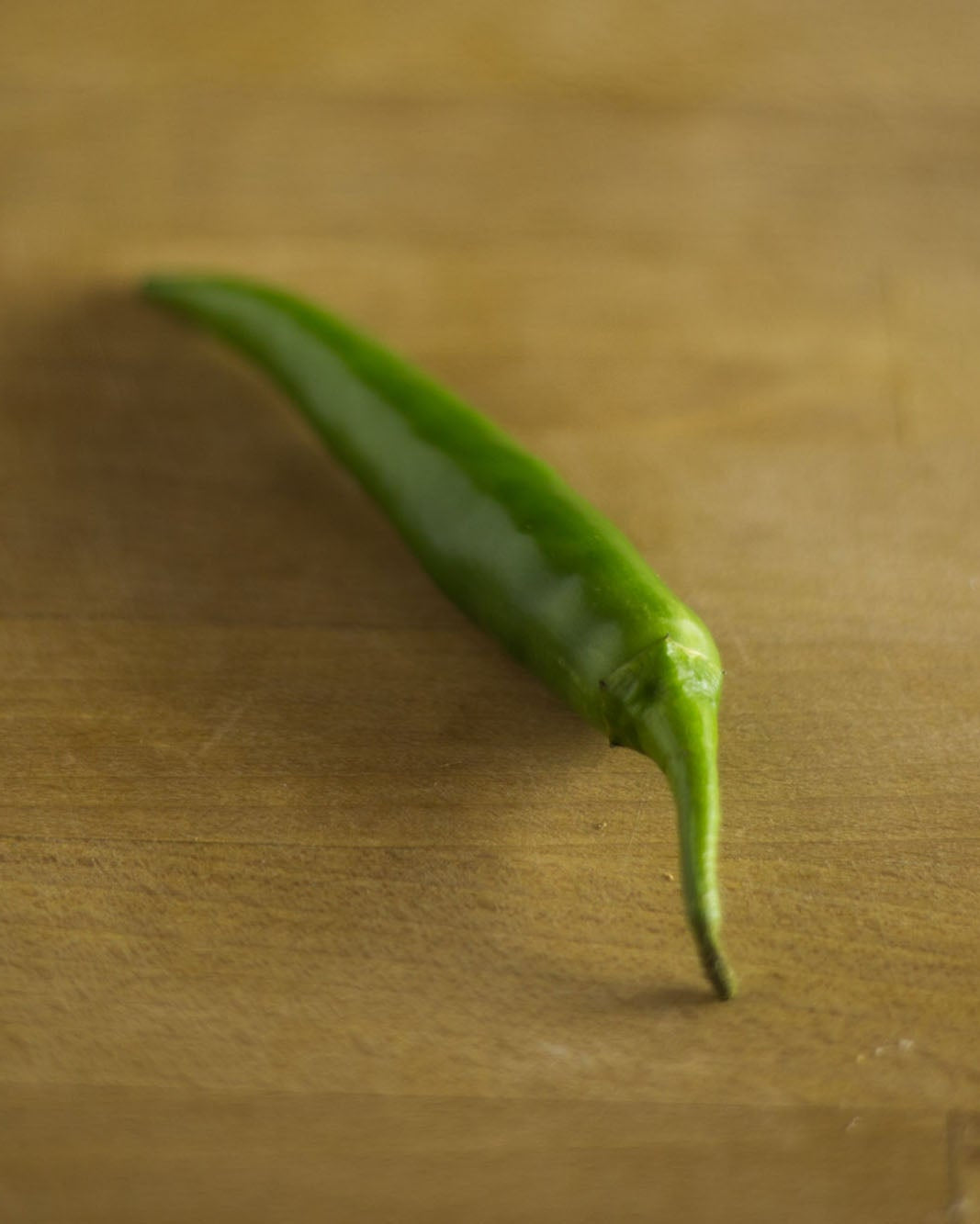 A single green Greendale chilli