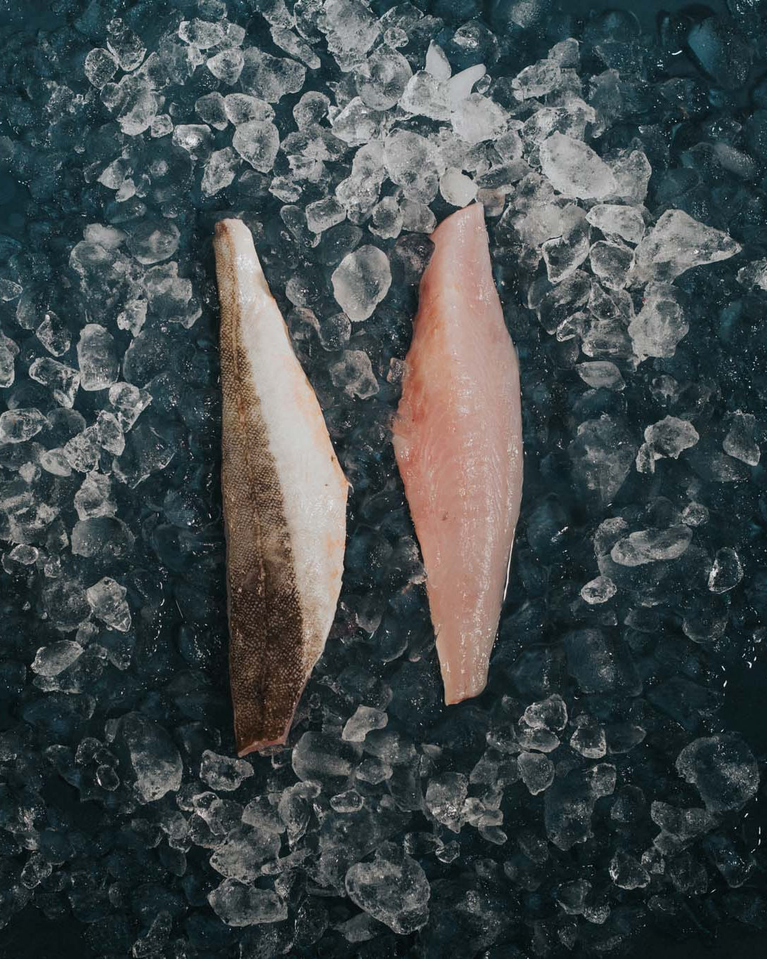 Greendale Gurnard Fillets