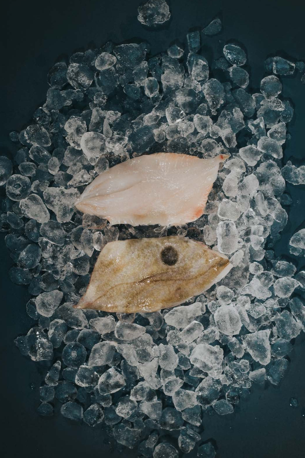 Greendale John Dory Fillet