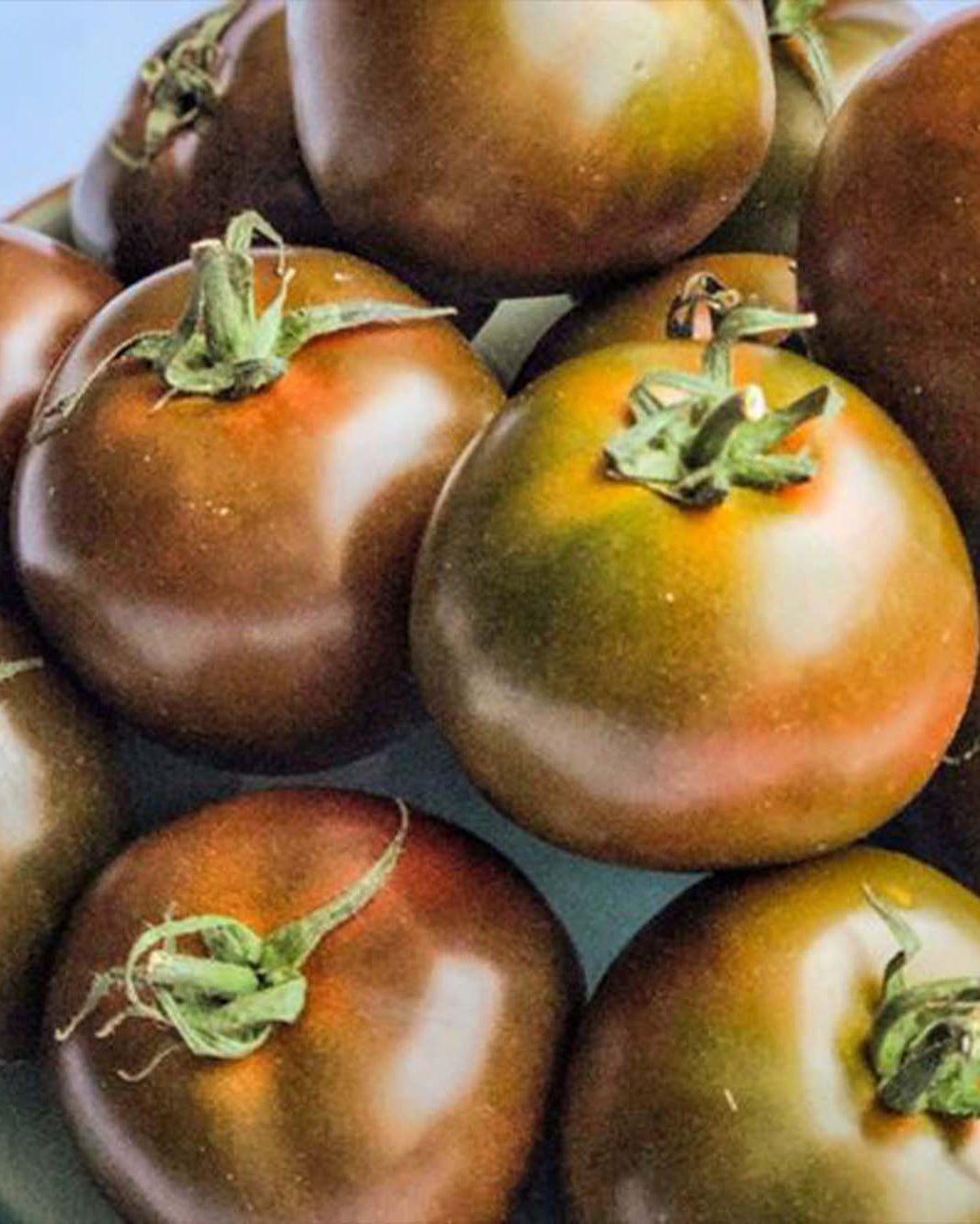 Greendale Kumato tomatoes