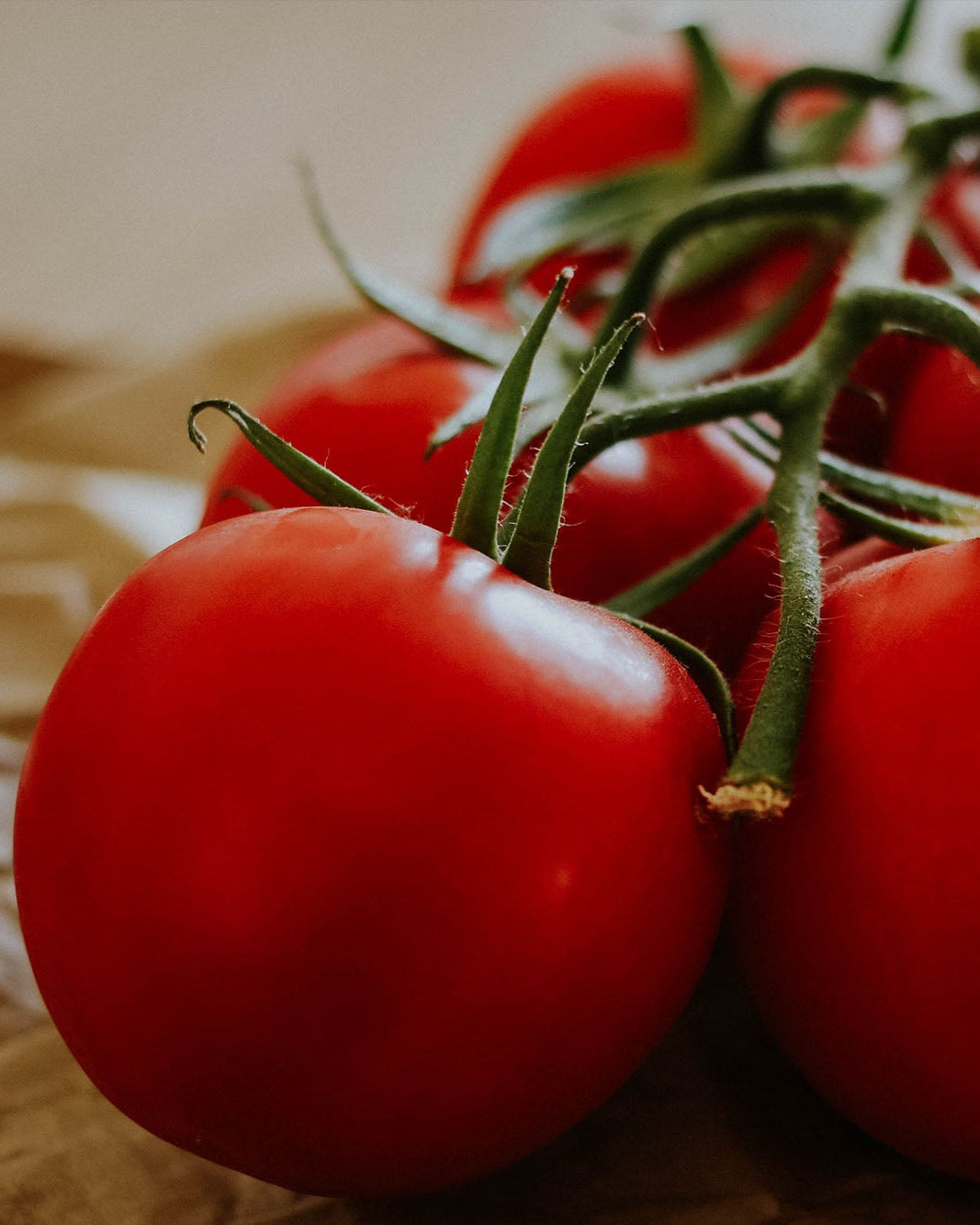 large vine Greendale tomatoes