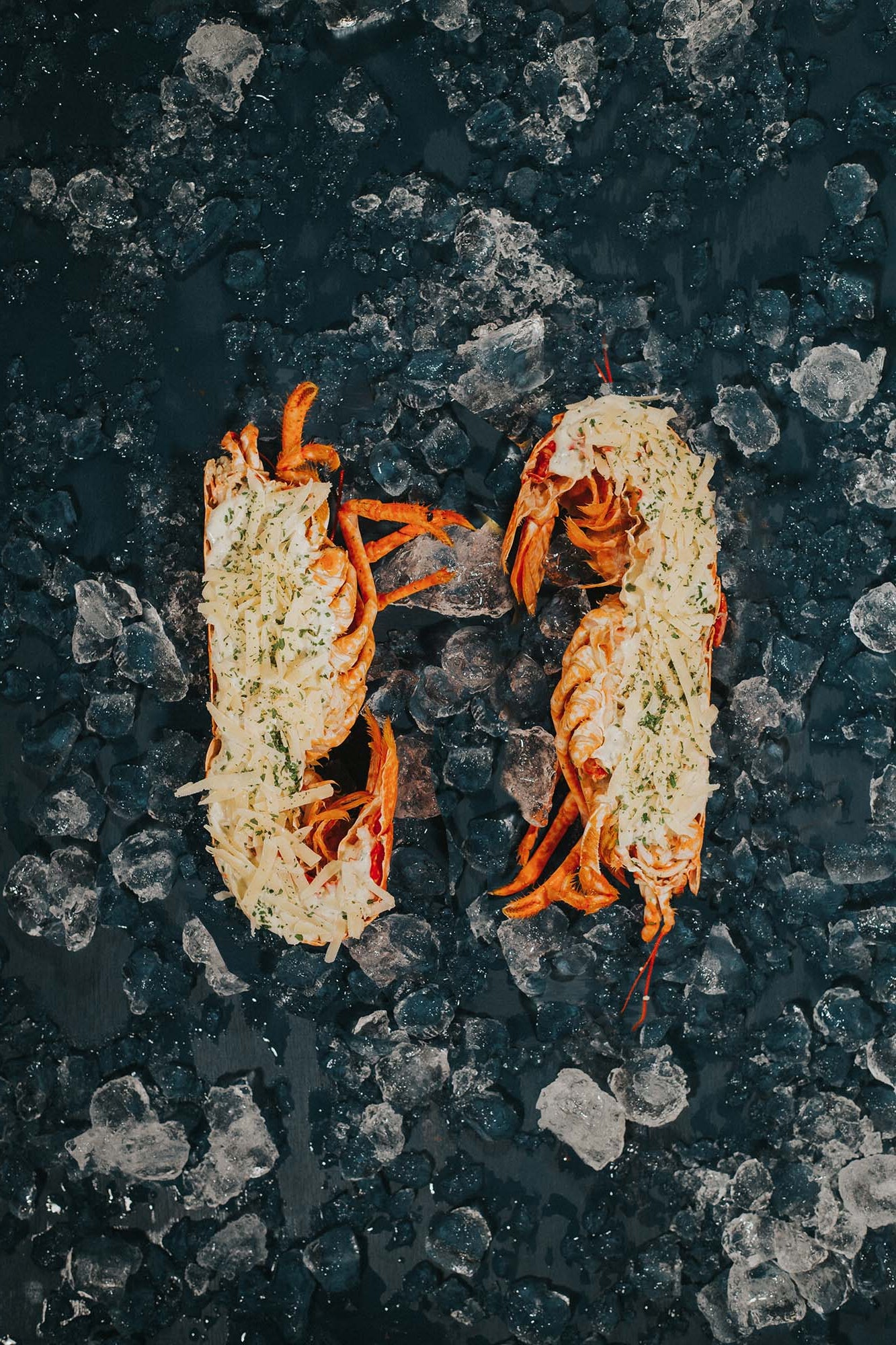 Greendale Lobster Thermidors