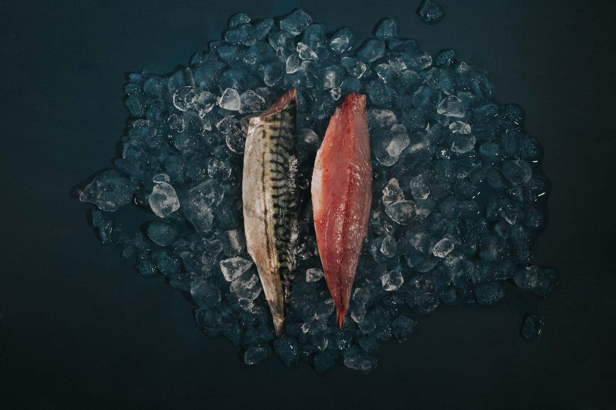 Greendale Mackerel Fillets