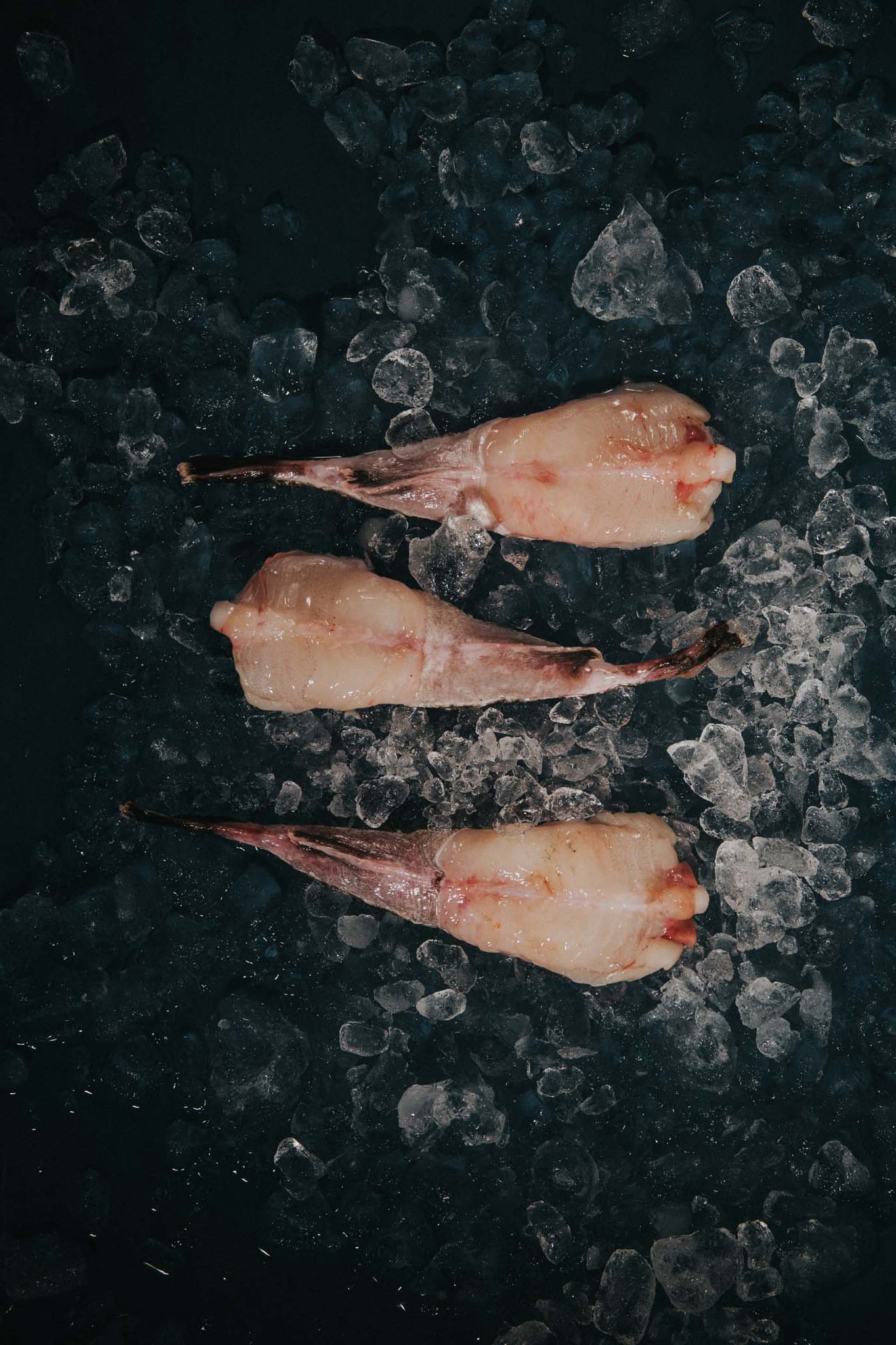 Greendale Mini Monkfish Tails