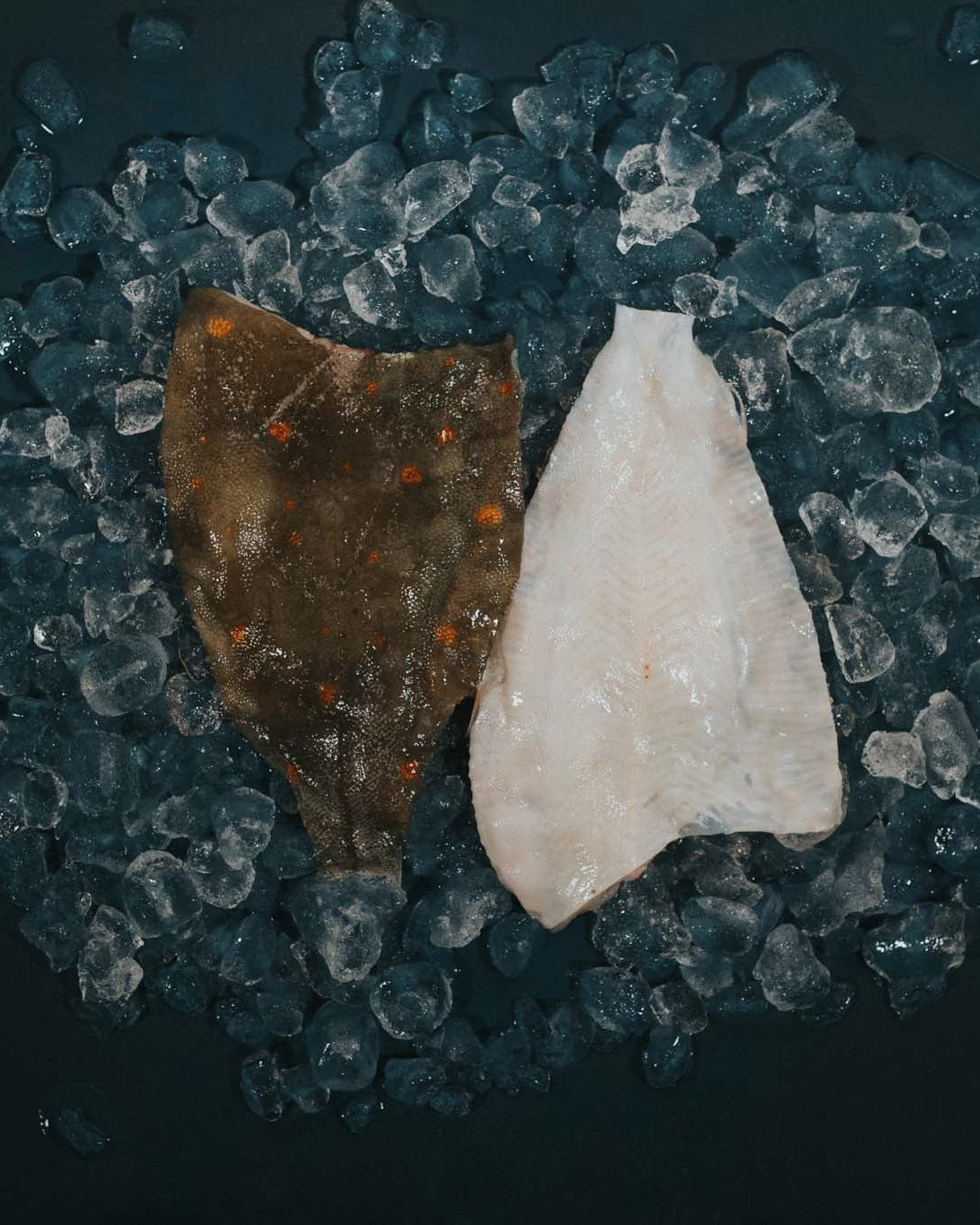 Greendale Plaice Fillet
