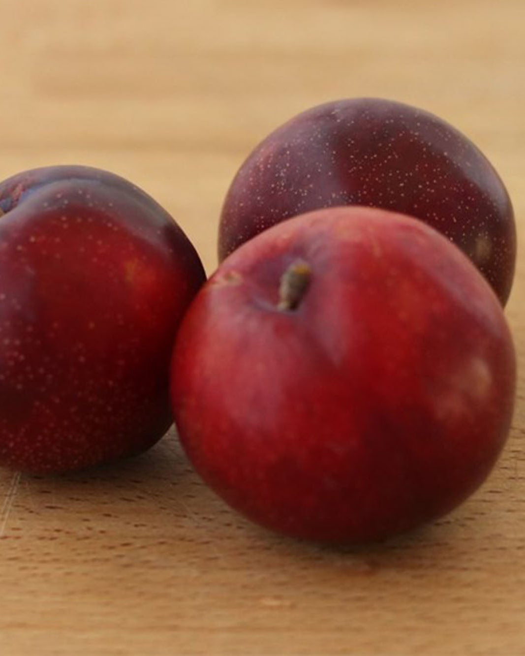 Greendale plums