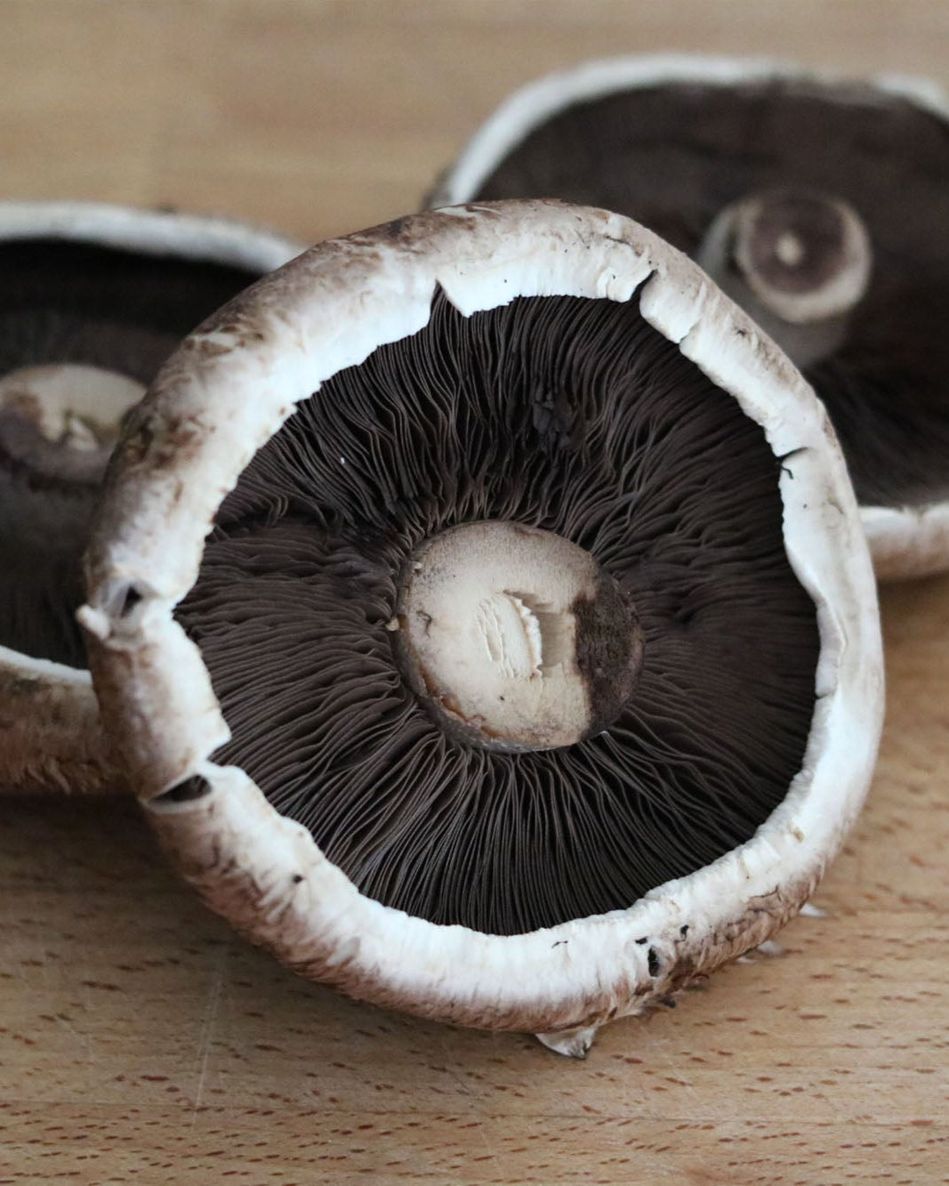 Greendale Portobello mushrooms