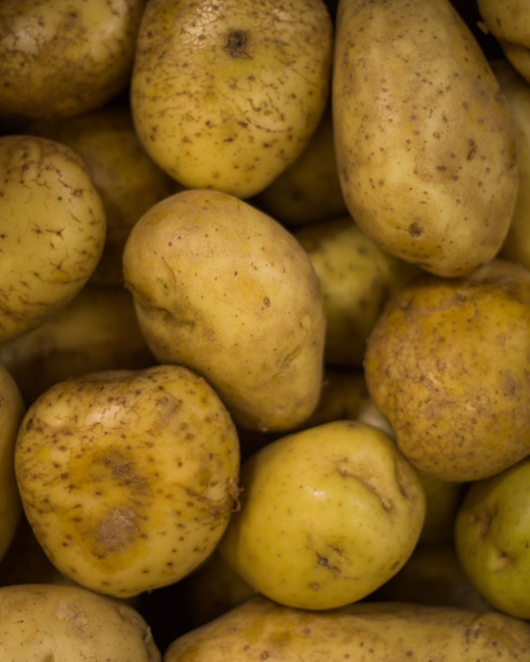 Pre-packed Greendale potatoes