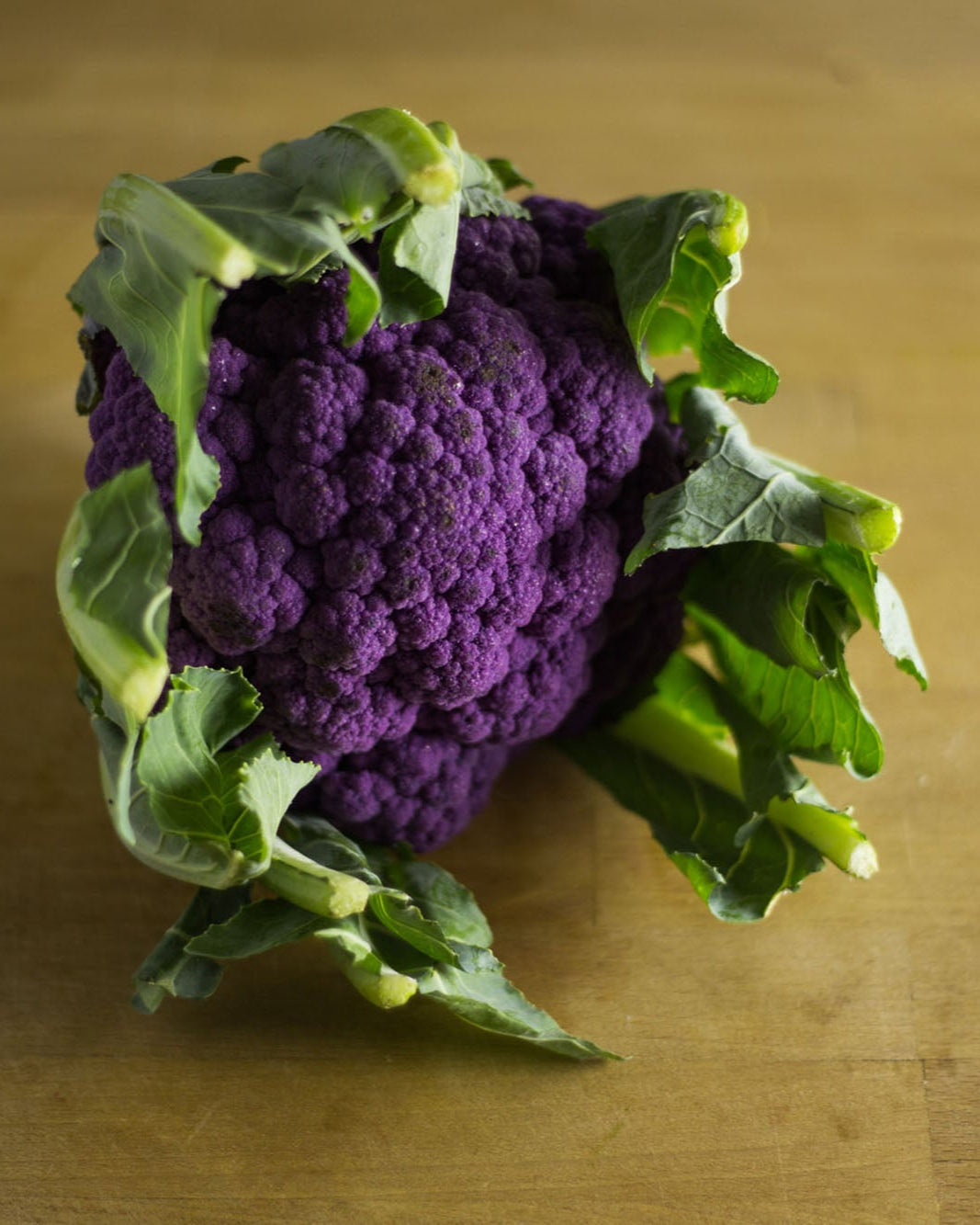A purple Greendale cauliflower
