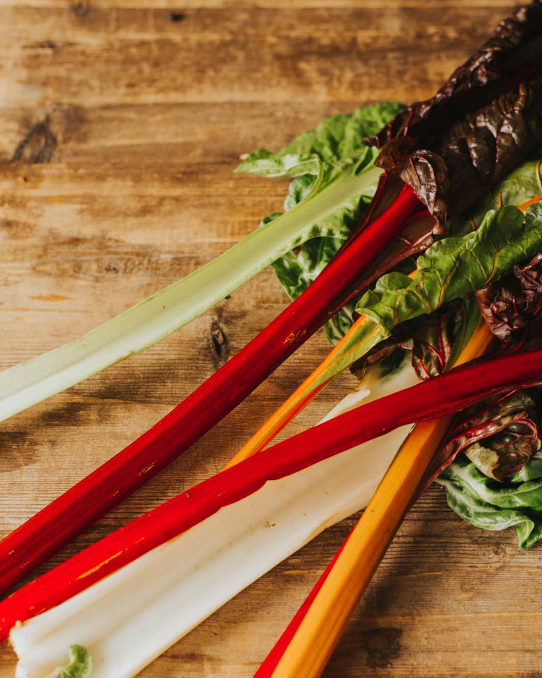 Greendale rainbow chard