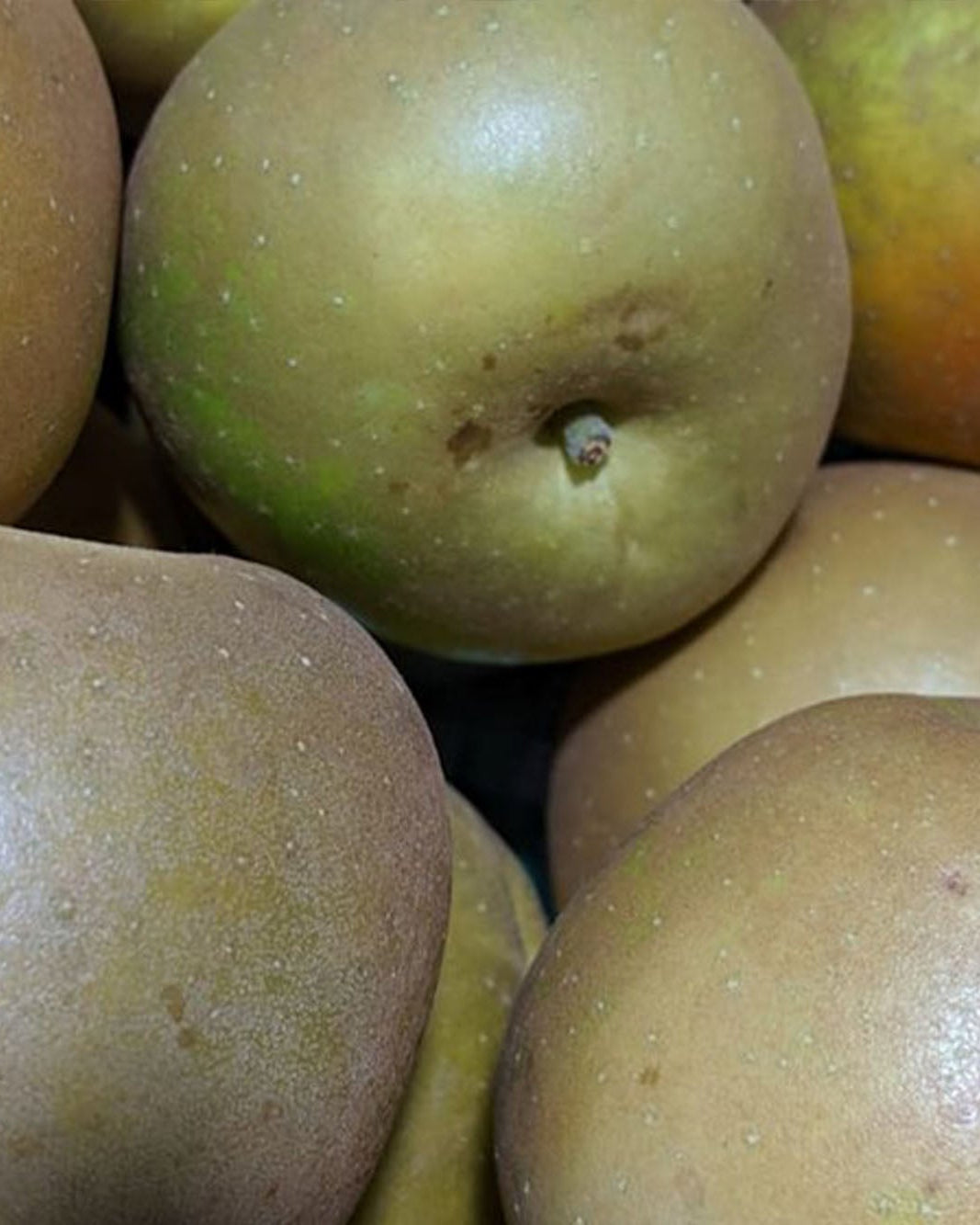 1kg of Greendale Russet apples