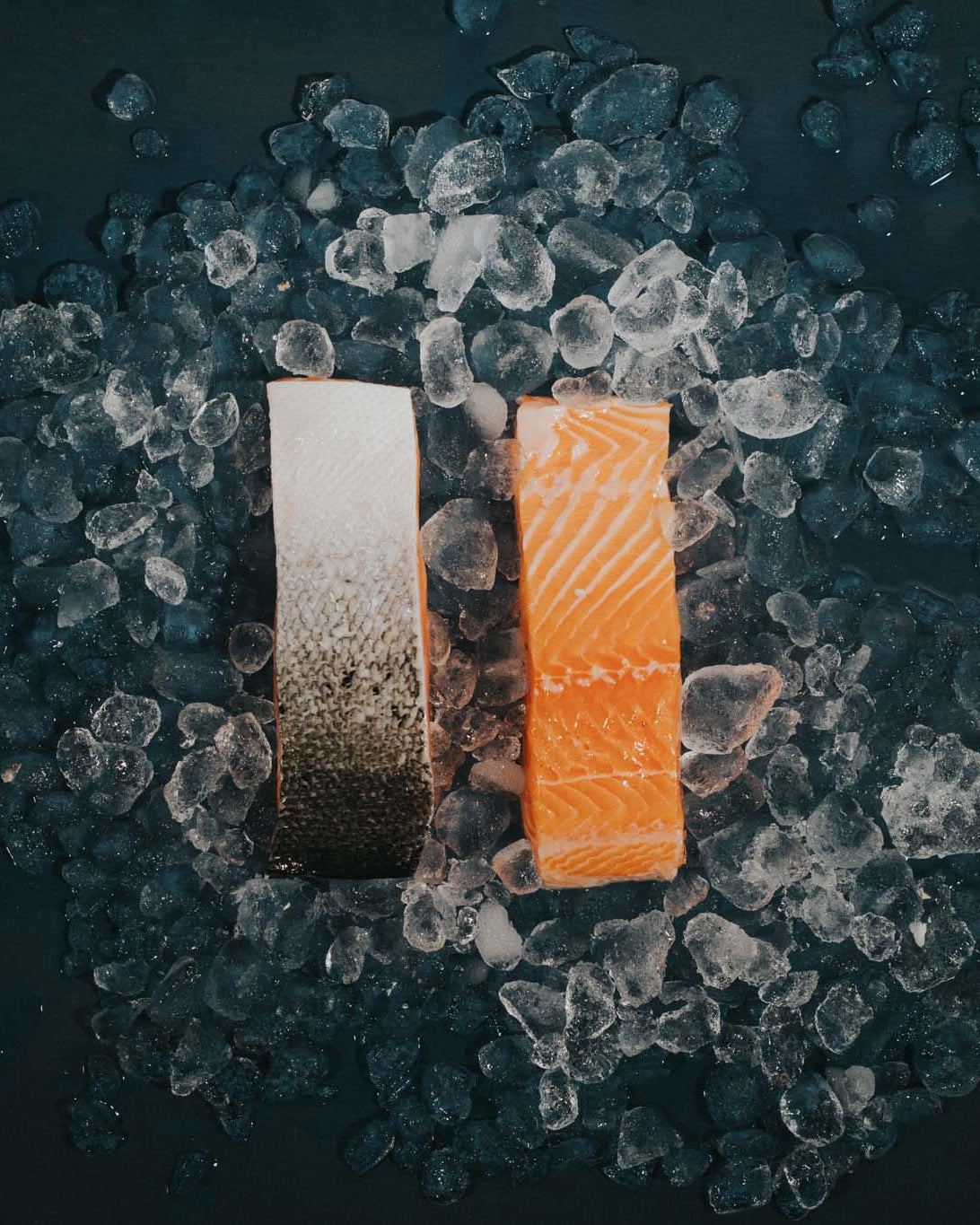 Greendale Scottish Salmon Fillets