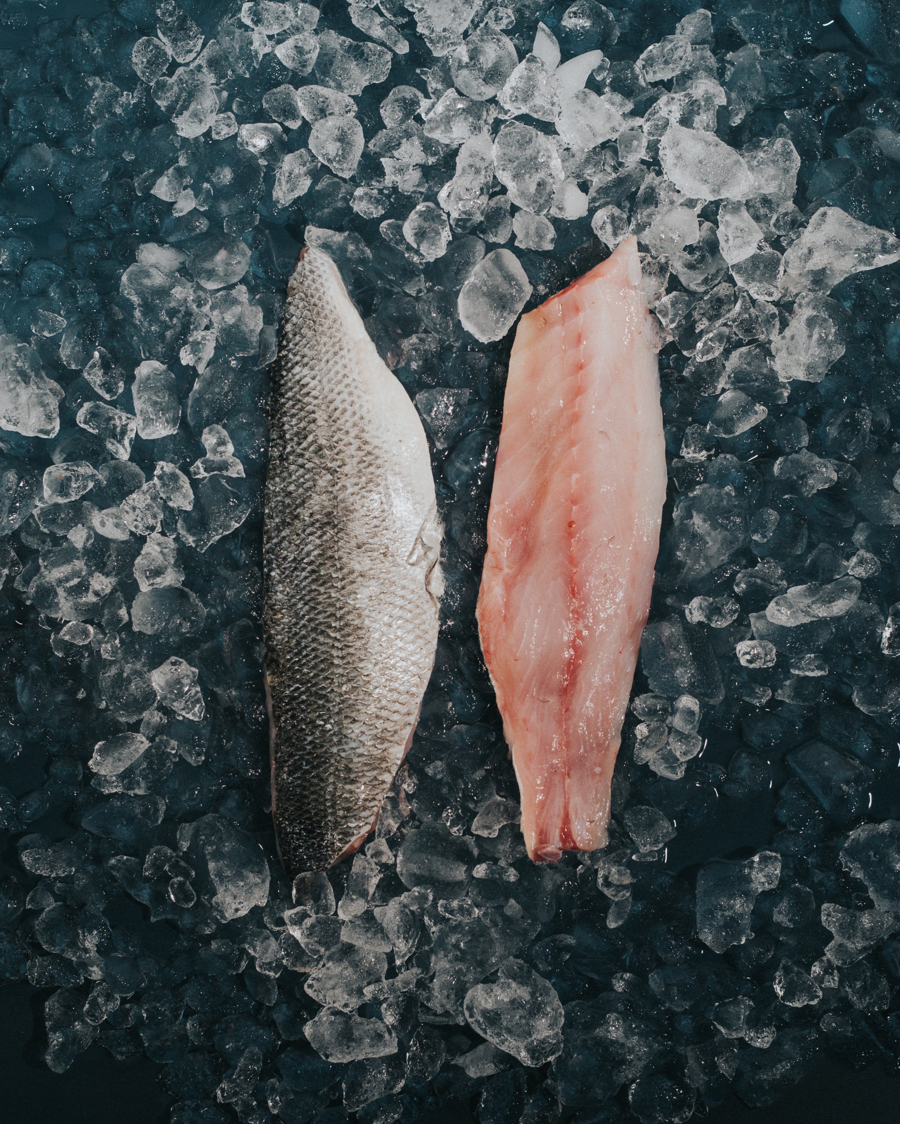 Greendale Farmed Sea Bass Fillets
