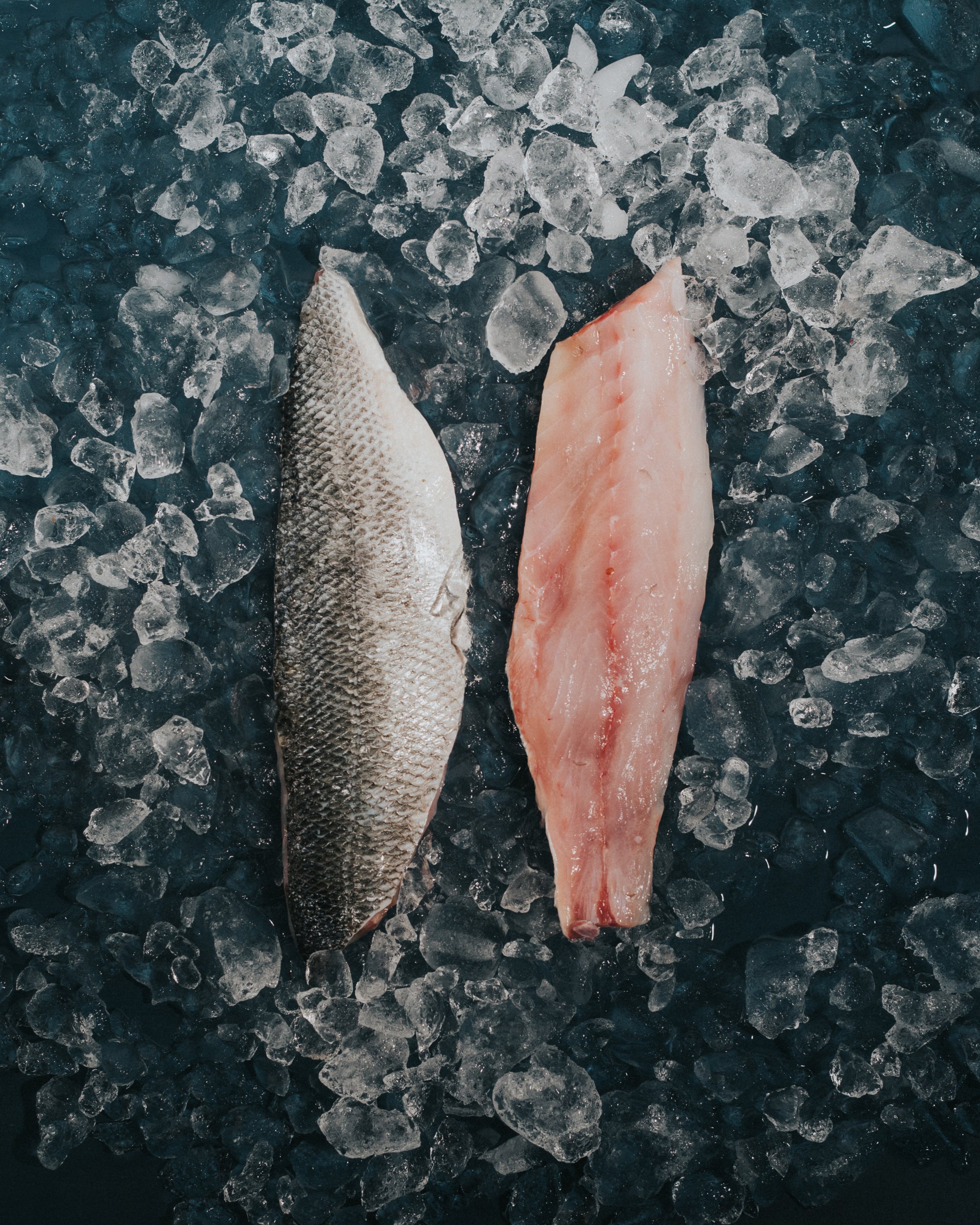Greendale Wild Sea Bass Fillets