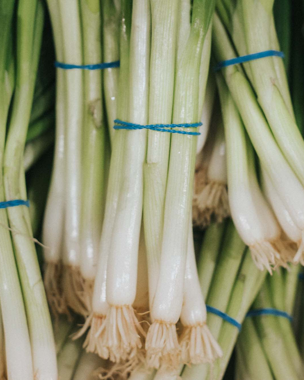 Greendale spring onions