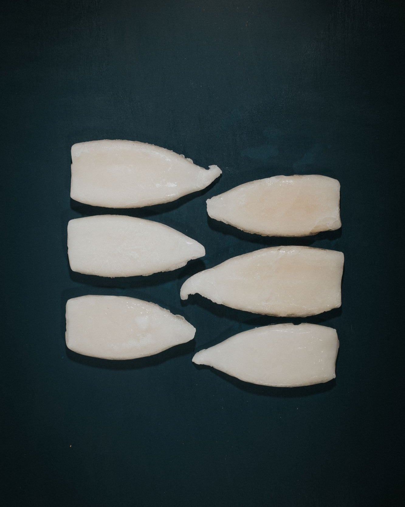 Greendale Squid Tubes