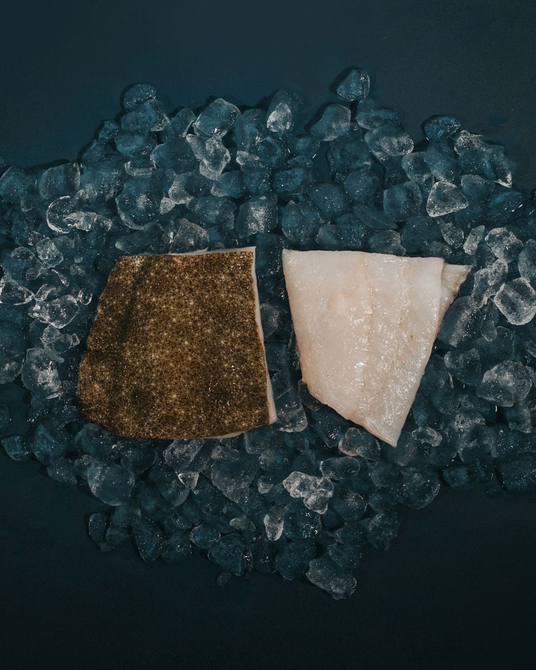 Greendale Turbot Fillets