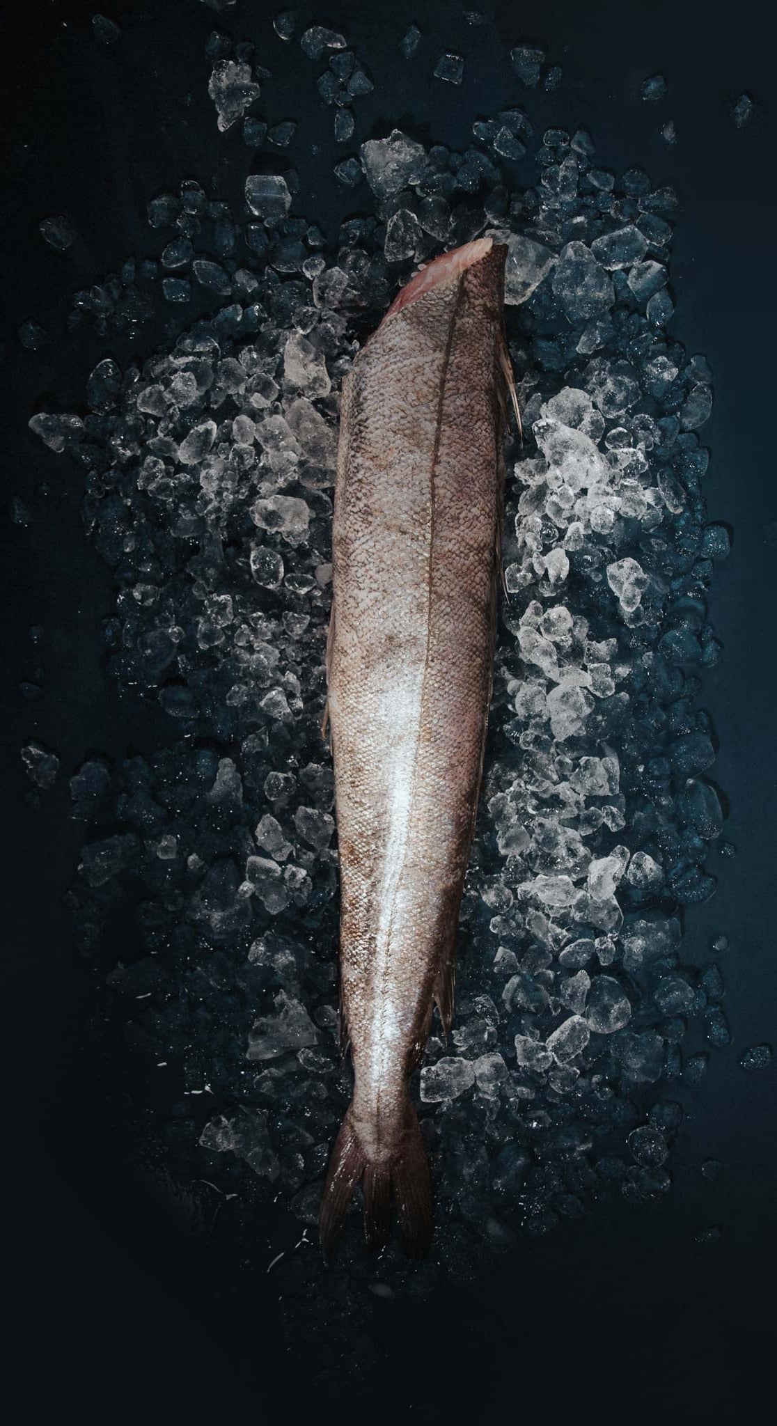 Greendale Hake Whole