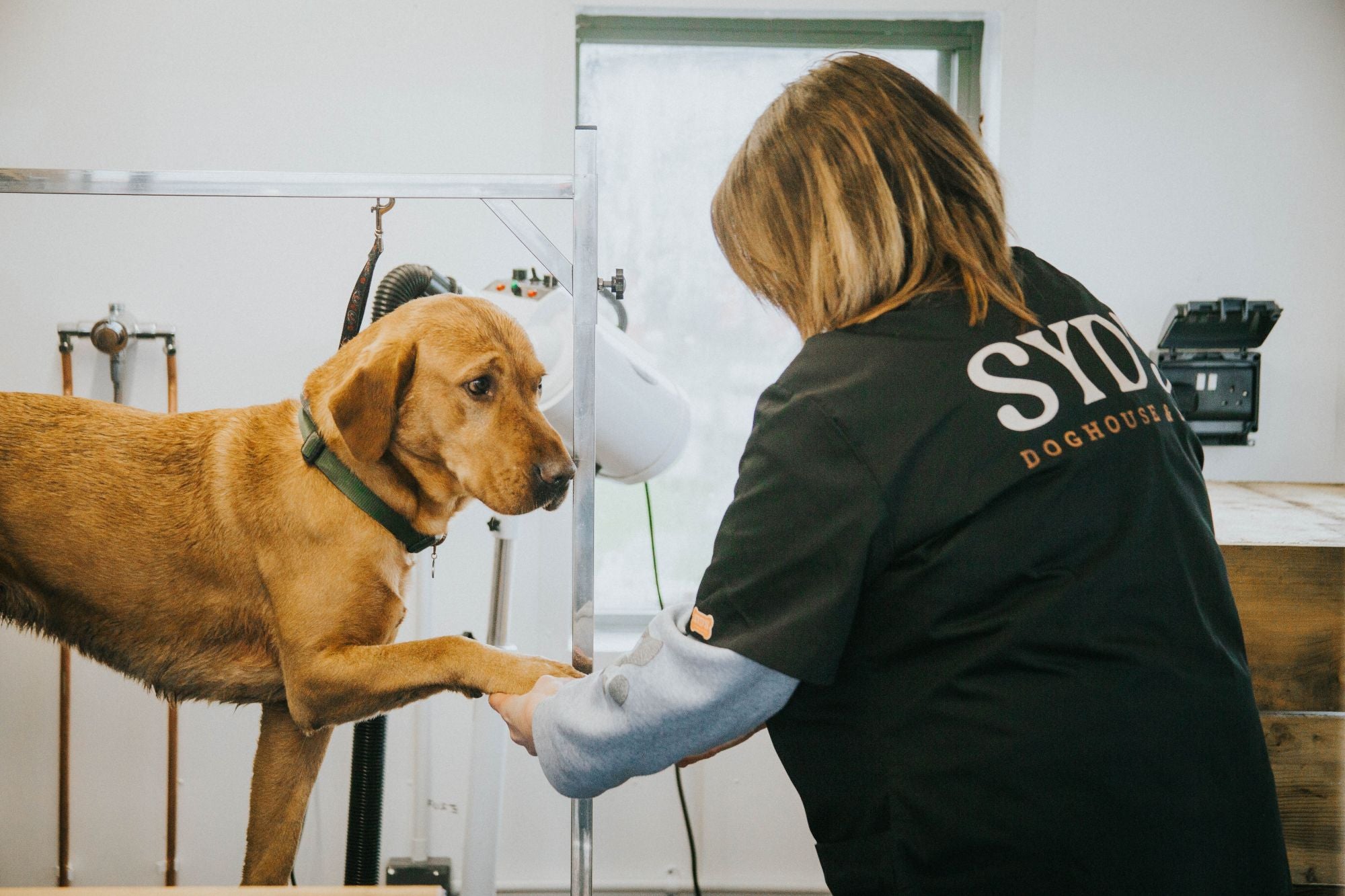 Syds Doghouse & Spa at Greendale